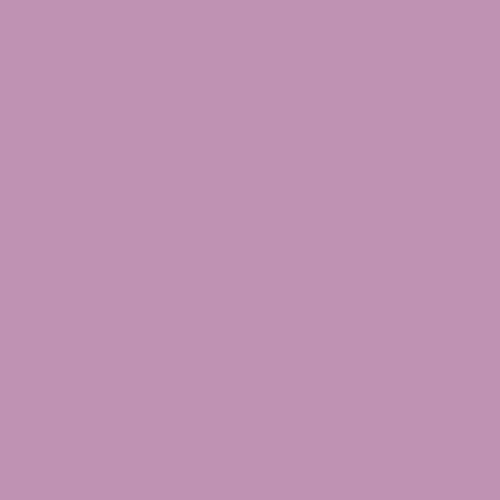 淡紫色的魔法PPG1180-5