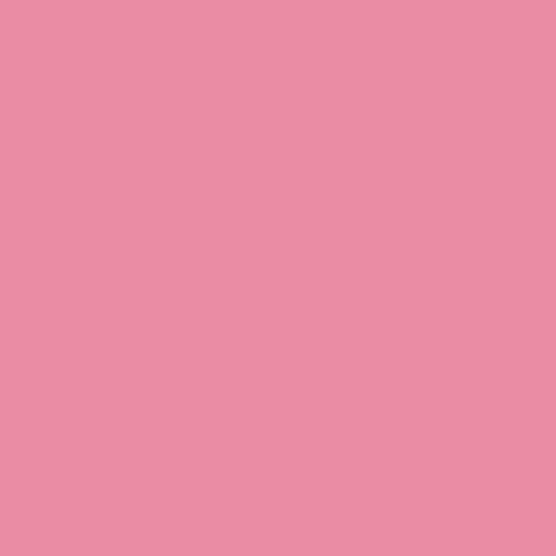 Pinkety Pink 63RR 39/350