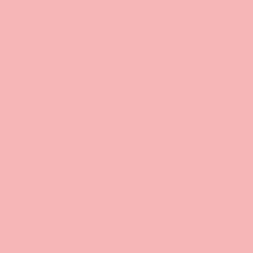 珍贵的粉红色PPG1185-3