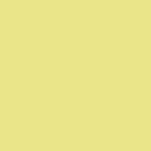 明亮的黄色蜂鸟70 yy 73/458
