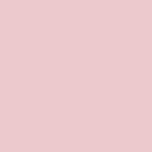 粉红色的圆筒ppg1051-2