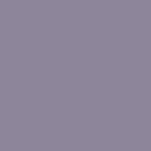 灰色紫水晶10RB 25/102