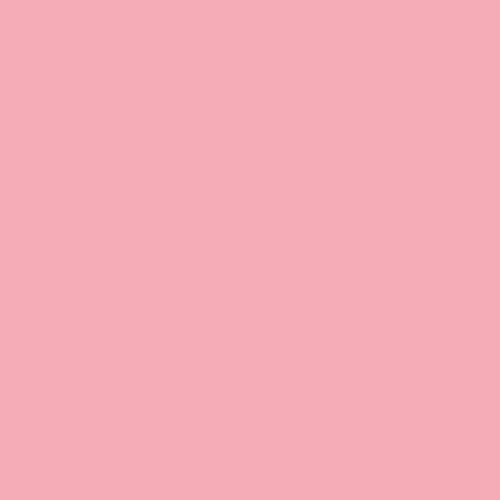 粉红色的火烈鸟78rr 54/274