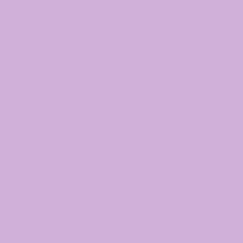 Sea Lavender PPG1250-4