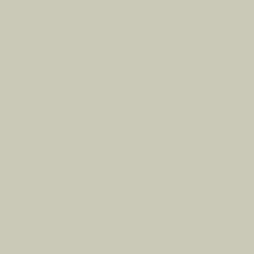 French Gray Linen PPG1029-3