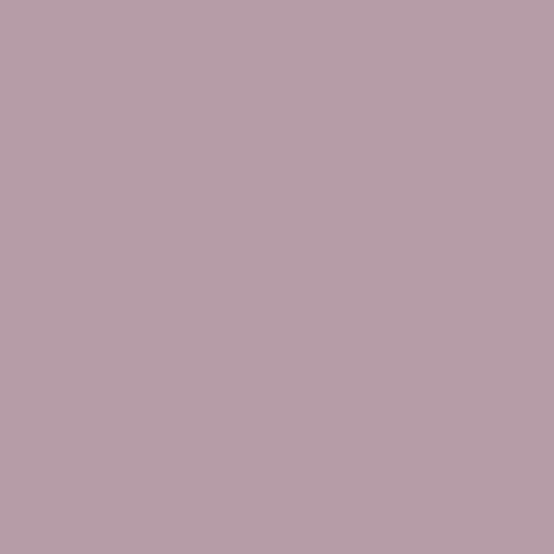 柔和的淡紫色30 rr 36/091