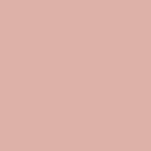 Mesa Pink PPG1058-4