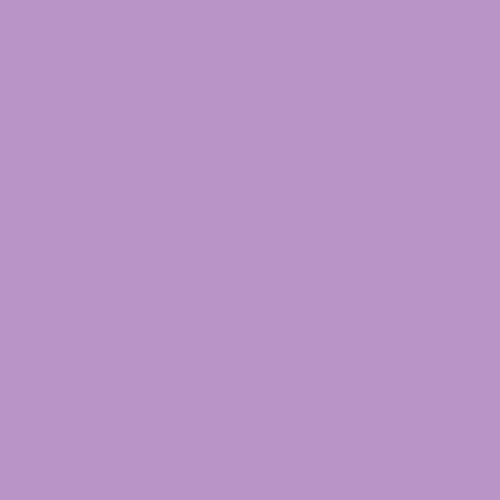 五彩纸屑紫色40RB 36/264